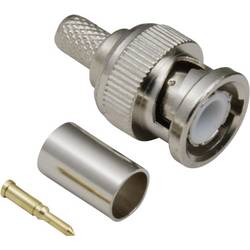 TRU COMPONENTS 1579373 BNC konektor zástrčka, rovná 50 Ω 1 ks