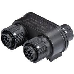 Wieland Electric RST16I5V 2P1 TGVG SW 46.050.1253.1 rozvaděč pro kulatý faston, 1 ks