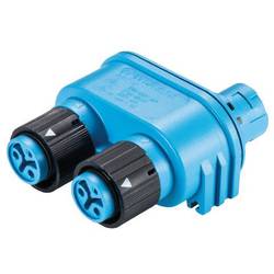 Wieland Electric RST16I2V 2P1 TGVGH BL 46.030.1254.9 rozvaděč pro kulatý faston, 1 ks