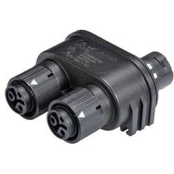 Wieland Electric RST16I3V 2P1 TGVG SW 46.030.1253.1 rozvaděč pro kulatý faston, 1 ks