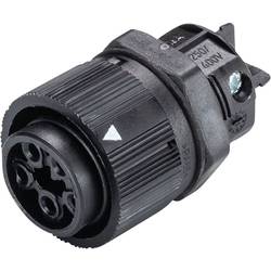 Wieland Electric RST16I5 S B1 M03 SW 46.051.5053.1 kulatý faston, 1 ks