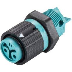 Wieland Electric RST16I3/2S B1 M02 A TB 46.031.5051.6 kulatý faston, 1 ks