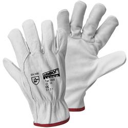 Leipold Doehle DRIVER GLOVE 1606-11 hovězí lícovaná useň pracovní rukavice Velikost rukavic: 11, XXL EN 388:2016 CAT II 1 pár