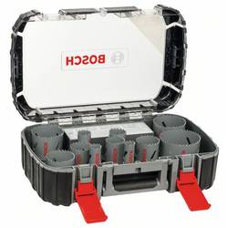 Bosch Accessories 2608580887 sada děrovacích pil 17dílná 1 sada