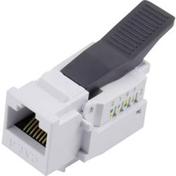 TRU COMPONENTS, 93038C375, RJ45 konektor, RJ45, CAT 6, 1 ks