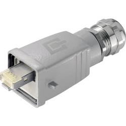 Telegärtner 100007468, 100007468, RJ45 konektor, RJ45, CAT 6, 1 ks