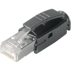 Telegärtner 100007451, 100007451, RJ45 konektor, RJ45, CAT 6A, 1 ks