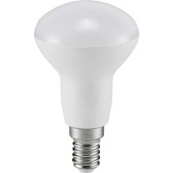 Müller-Licht 401022 LED Energetická třída (EEK2021) G (A - G) E14 žárovka 4.8 W = 40 W teplá bílá (Ø x v) 50 mm x 85 mm 1 ks