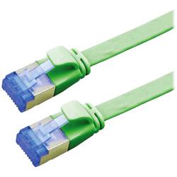 Value 21.99.2141 RJ45 síťové kabely, propojovací kabely CAT 6A F/UTP 1.00 m zelená stíněný, plochý, pozlacené kontakty 1 ks