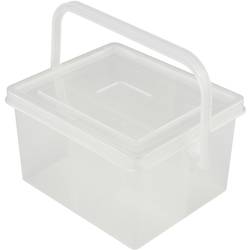 TRU COMPONENTS TC-QBS-400 B203 TC-QBS-400 B203 box na součástky, (d x š x v) 135 x 115 x 80 mm, přihrádek: 4, pevné rozčlenění, 1 ks