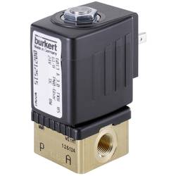 Bürkert přímo řízený ventil 134243 6013 230 V/AC G 1/8 objímka Jmenovitá vzdálenost 2.5 mm 1 ks