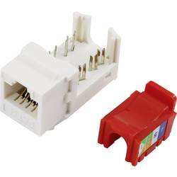 TRU COMPONENTS 93013c1174, 1425897, RJ45 konektor, RJ45 Cat5e, CAT 5e, 1 ks