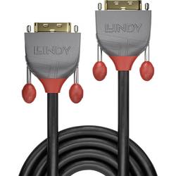 LINDY DVI kabel DVI-D 24+1pol. Zástrčka, DVI-D 24+1pol. Zástrčka 15.00 m černá 36227 DVI kabel