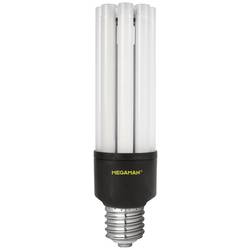 Megaman MM60855 LED Energetická třída (EEK2021) D (A - G) E40 80 W = 164 W studená bílá (Ø x d) 80 mm x 265 mm 1 ks