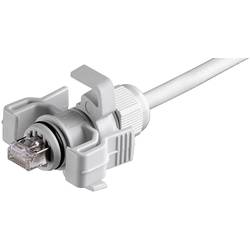 Telegärtner J00026A0150 Sada zástrček RJ45 varianty 6 J00026A0150 zástrčka, rovná počet pólů: 8P8C světle šedá 1 ks