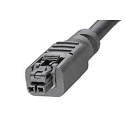 Molex zástrčkový konektor na kabel 2, 2451300220, 1 ks Bulk