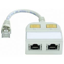 Telegärtner RJ45 síťový, ISDN Y adaptér [1x RJ45 zástrčka - 2x RJ45 zásuvka] 15.00 cm šedobílá (RAL 7035)