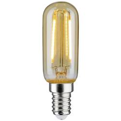 Paulmann 28526 LED E14 2 W zlatá (Ø x v) 25 mm x 80 mm 1 ks