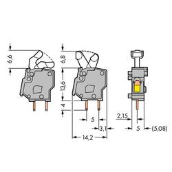 WAGO 257-747 pružinová svorkovnice 2.50 mm² Pólů 1 světle zelená 500 ks