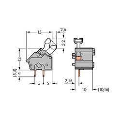 WAGO 256-601 pružinová svorkovnice 2.50 mm² Pólů 1 šedá 300 ks