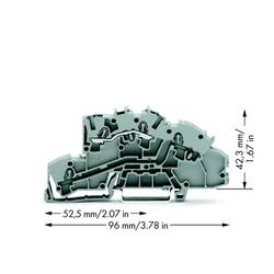 WAGO 2003-7650 patrová instalační svorka 5.20 mm pružinová svorka osazení: L šedá 50 ks