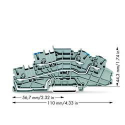 WAGO 2003-6649 patrová instalační svorka 5.20 mm pružinová svorka osazení: N, L šedá 50 ks