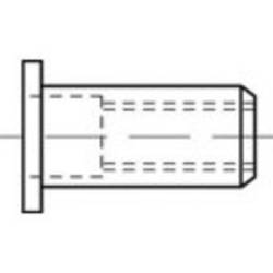 TOOLCRAFT TO-5444250 slepá nýtovací matice M10 ocel 100 ks