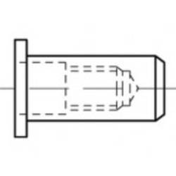 TOOLCRAFT TO-5444280 slepá nýtovací matice M5 ocel 500 ks