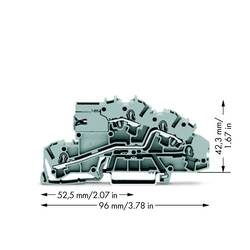 WAGO 2003-7659 patrová instalační svorka 5.20 mm pružinová svorka osazení: LT, L šedá 50 ks