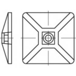 TOOLCRAFT úchytka TO-5454867 100 ks