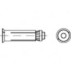 Alstertaler Schrauben & Präzisionsteile Hollo-Bolt 100 mm pozinkovaná ocel 820310140120100 1 ks