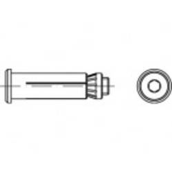 Alstertaler Schrauben & Präzisionsteile Hollo-Bolt 50 mm pozinkovaná ocel 820310130080050 1 ks