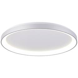 Deko Light Merope Stropní svítidlo LED pevně vestavěné LED 60 W teplá bílá, neutrální bílá stříbrná