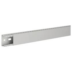 Hager BA725040 vodicí lišta (d x š x v) 2 m x 40 mm x 25 mm 2 m šedá