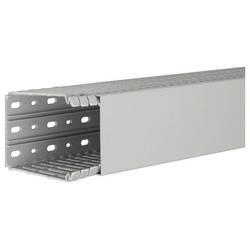 Hager BA7100080 vodicí lišta (d x š x v) 2 m x 80 mm x 100 mm 2 m šedá