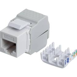 Intellinet 167062 RJ45 vestavný modul Keystone CAT 5e, CAT 6