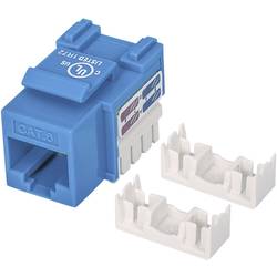 Intellinet 210737 RJ45 vestavný modul Keystone CAT 6