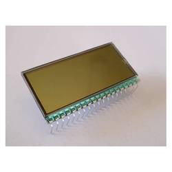 Display Elektronik LCD displej DE325RS-20/8.4(3)