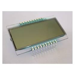 Display Elektronik LCD displej DE161RS-20/7.5(3)