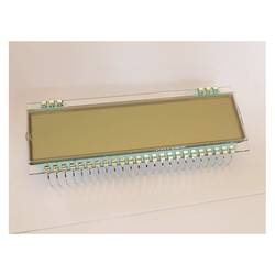 Display Elektronik LCD displej DE133RS-30/6.35(5)