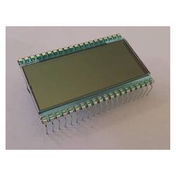 Display Elektronik LCD displej DE152RS-20/7.5