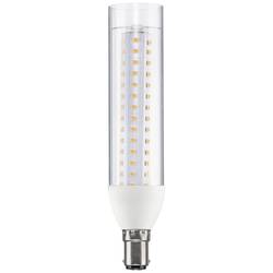 Paulmann 28889 LED Energetická třída (EEK2021) E (A - G) B15d zářivkový tvar 9.5 W = 75 W teplá bílá (Ø x v) 36 mm x 165 mm 1 ks