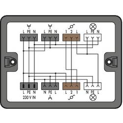 WAGO 899-631/189-000 rozvodný box 899 25 A černá 1 ks