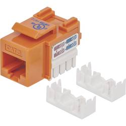 Intellinet 210775 RJ45 vestavný modul Keystone CAT 6