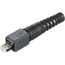 Telegärtner J80026A0014 Sada zástrček RJ45 varianty 4 J80026A0014 zástrčka, rovná počet pólů: 8P8C černá 1 ks