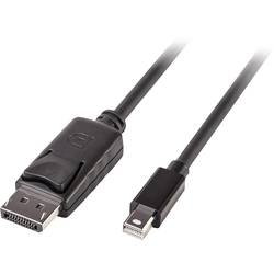 LINDY Mini-DisplayPort / DisplayPort kabelový adaptér Mini DisplayPort konektory, Konektor DisplayPort 2.00 m černá 41646 Kabel DisplayPort