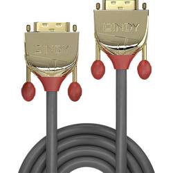 LINDY DVI kabel DVI-D 24+1pol. Zástrčka, DVI-D 24+1pol. Zástrčka 10.00 m zlatá 36206 DVI kabel