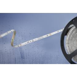 Barthelme Basic 51540433 51540433 LED pásek volný konec 12 V 5 m neutrální bílá 1 ks