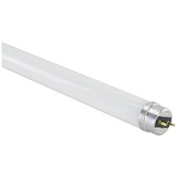 Megaman MM54274 LED Energetická třída (EEK2021) F (A - G) G13 zářivkový tvar 23 W neutrální bílá (Ø x d) 28 mm x 1513 mm 1 ks