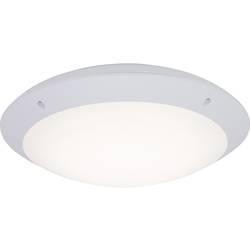 Brilliant Medway G96053/05 venkovní stropní LED osvětlení 12 W N/A bílá